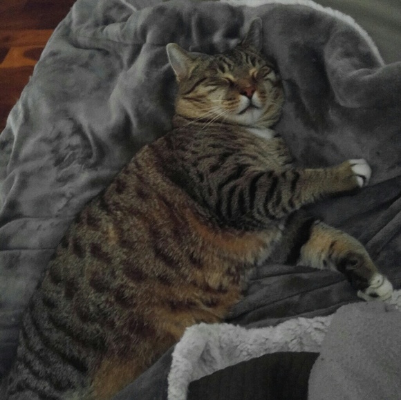 Meet your Posher, Christine - Picture 2 of 4